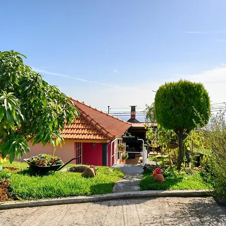 Casa Primavera, A In Madeira ポンタ・ド・ソル