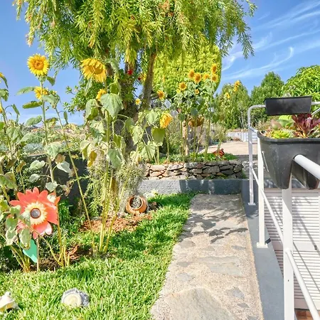 Casa Primavera, A In Madeira Дом отдыха Понта-ду-Сол