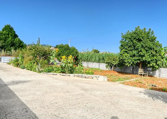 Casa Primavera, A In Madeira Prázdninový dům *