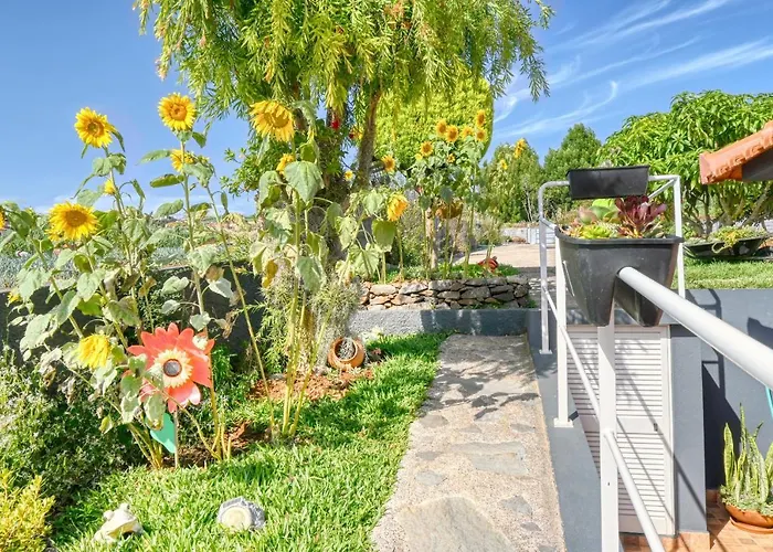 Casa Primavera, A In Madeira Prázdninový dům Ponta do Sol (Madeira)